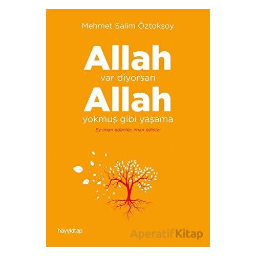 Allah Var Diyorsan Allah Yokmuş Gibi Yaşama - Mehmet Salim Öztoksoy - Hayykitap