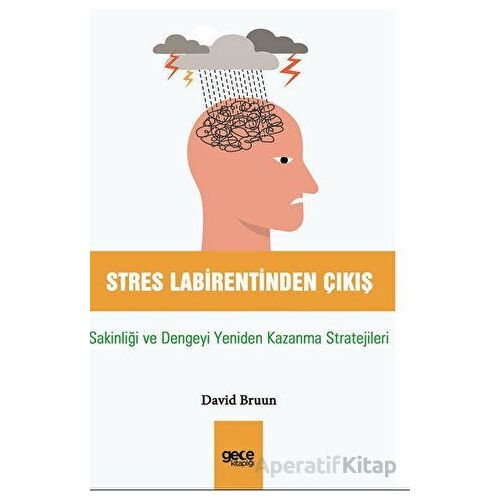 Stres Labirentinden Çıkış - David Bruun - Gece Kitaplığı
