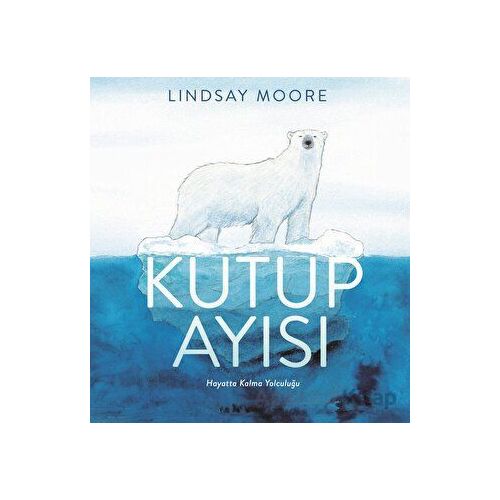 Kutup Ayısı - Lindsay Moore - Martı Çocuk Yayınları
