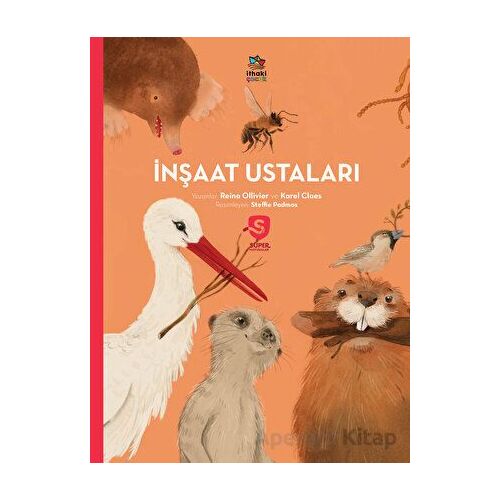 İnşaat Ustaları - Süper Hayvanlar Serisi - Reina Ollivier - İthaki Çocuk Yayınları