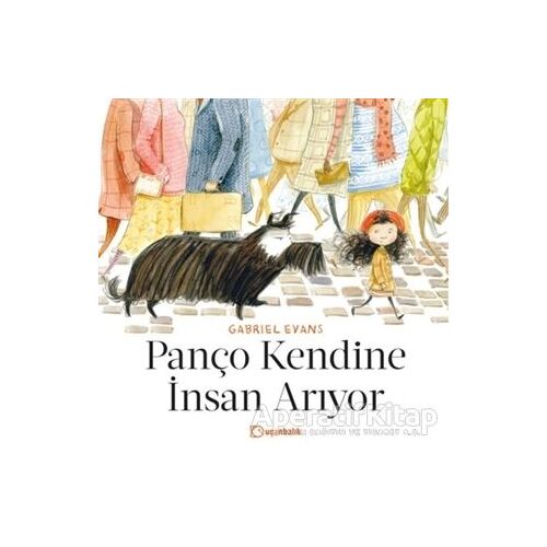 Panço Kendine İnsan Arıyor - Gabriel Evans - Uçanbalık Yayıncılık