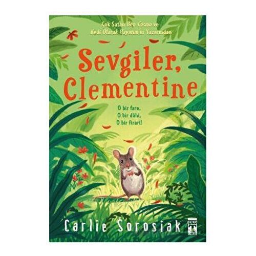 Sevgiler Clementine - Carlie Sorosiak - Genç Timaş