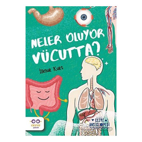 Neler Oluyor Vücutta? – Cezve Ansiklopedi - İlknur Kurt - Cezve Çocuk