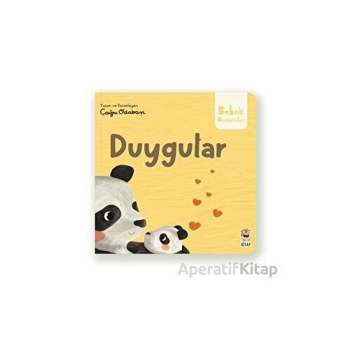 Duygular - Çağrı Odabaşı - Sincap Kitap
