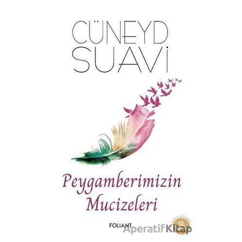 Peygamberimizin Mucizeleri - Cüneyd Suavi - Foliant Yayınları