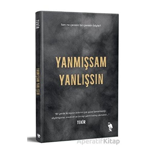 Yanmışsam Yanlışsın - Tekir - Nemesis Kitap