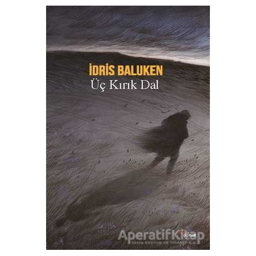 Üç Kırık Dal - İdris Baluken - Dipnot Yayınları