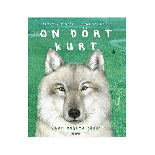 On Dört Kurt - Catherine Barr - Ketebe Çocuk