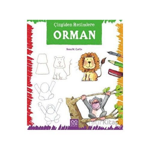 Çizgiden Resimlere - Orman - Rosa Maria Curto - 1001 Çiçek Kitaplar