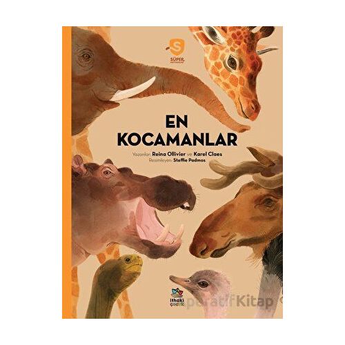 En Kocamanlar - Süper Hayvanlar Serisi - Reina Ollivier - İthaki Çocuk Yayınları