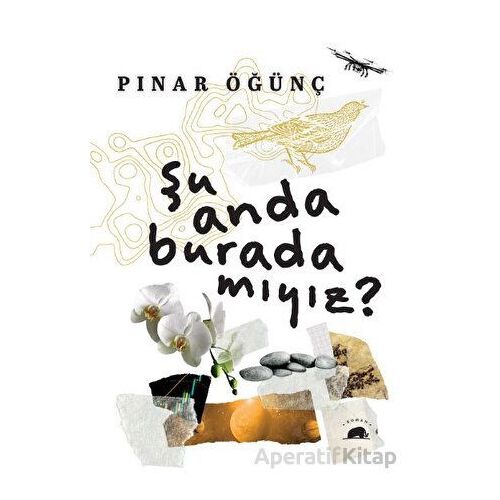 Şu Anda Burada Mıyız? - Pınar Öğünç - Kolektif Kitap