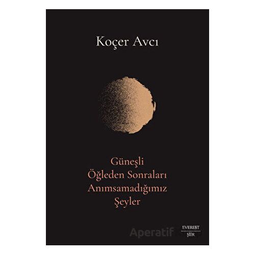 Güneşli Öğleden Sonraları Anımsamadığımız Şeyler - Koçer Avcı - Everest Yayınları