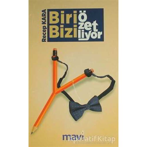 Biri Bizi Özetliyor / Alayınızı Selamlıyorum - Recep Kara - Mavi Yayıncılık