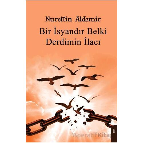 Bir İsyandır Belki Derdimin İlacı - Nurettin Aldemir - Dorlion Yayınları