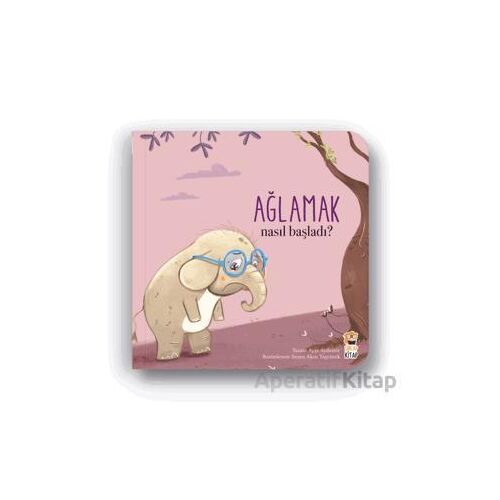 Nasıl Başladı? - Ağlamak - Ayşe Aydemir - Sincap Kitap