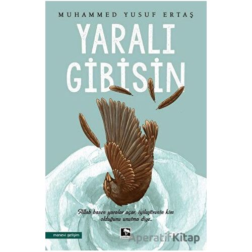 Yaralı Gibisin - Muhammed Yusuf Ertaş - Çınaraltı Yayınları