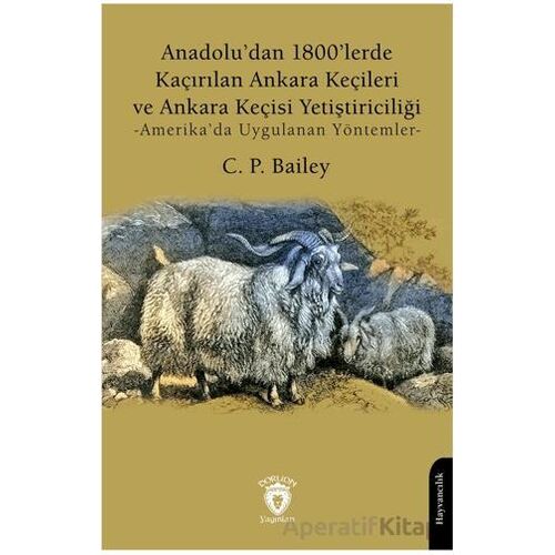 Anadolu’dan 1800’lerde Kaçırılan Ankara Keçileri ve Ankara Keçisi Yetiştiriciliği -Amerika’da Uygula