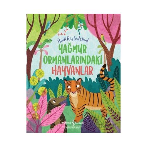 Yağmur Ormanlarındaki Hayvanlar - Hadi Keşfedelim! - Claire Philip - İş Bankası Kültür Yayınları