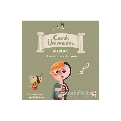 Çocuk Üniversitesi Biyoloji Set (3 Kitap) - Çağrı Odabaşı - Sincap Kitap