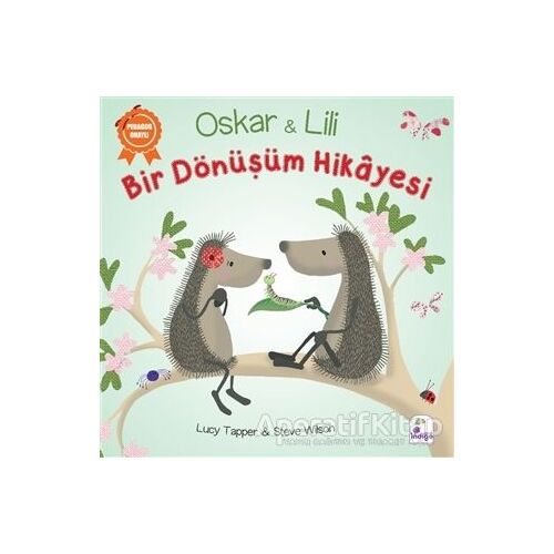 Oskar ve Lili - Bir Dönüşüm Hikayesi - Steve Wilson - İndigo Çocuk