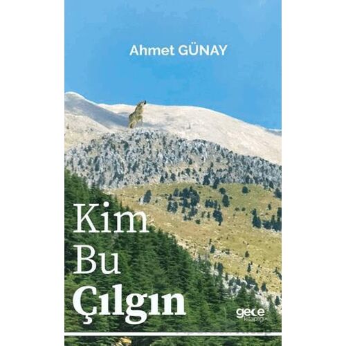 Kim Bu Çılgın - Ahmet Günay - Gece Kitaplığı