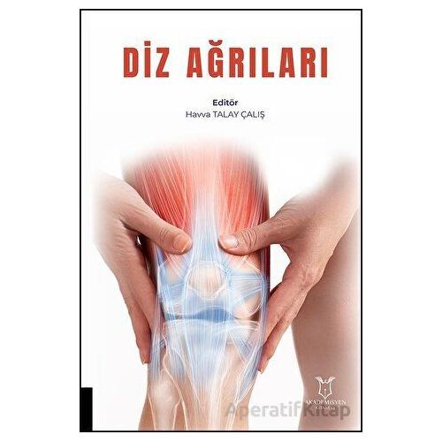 Diz Ağrıları - Havva Talay Çalış - Akademisyen Kitabevi