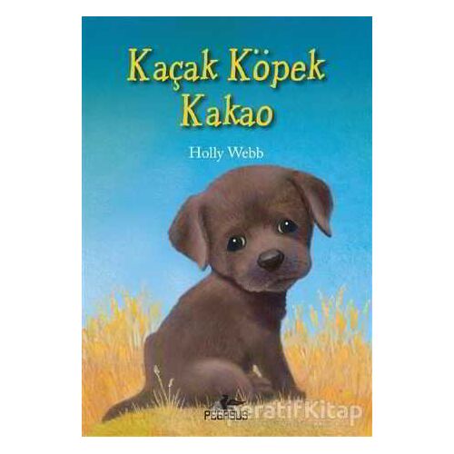 Kaçan Köpek Kakao - Holly Webb - Pegasus Yayınları