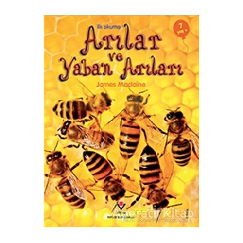 İlk Okuma - Arılar ve Yaban Arıları - James Maclaine - TÜBİTAK Yayınları