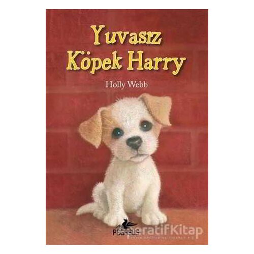 Yuvasız Köpek Harry - Holly Webb - Pegasus Çocuk Yayınları