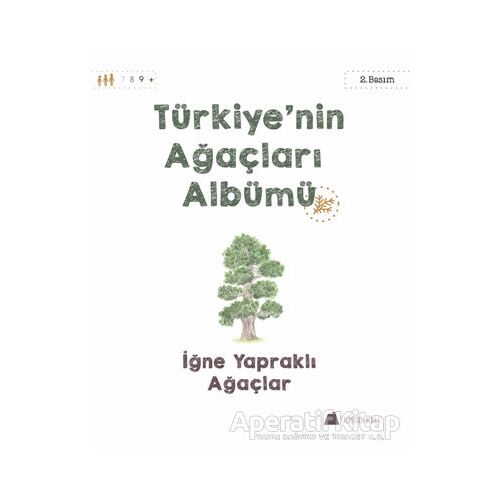 Türkiyenin Ağaçları Albümü - İğne Yapraklı Ağaçlar - Işıl Erverdi - Kumdan Kale