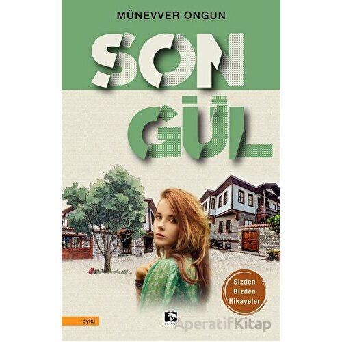 Songül - Münevver Ongun - Çınaraltı Yayınları