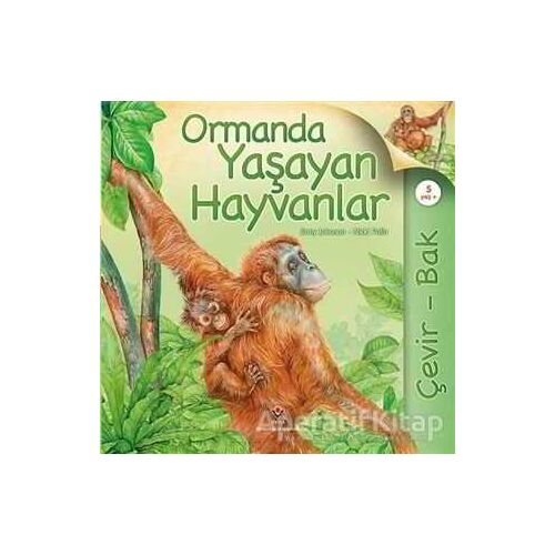 Çevir Bak - Ormanda Yaşayan Hayvanlar - Nicki Palin - TÜBİTAK Yayınları