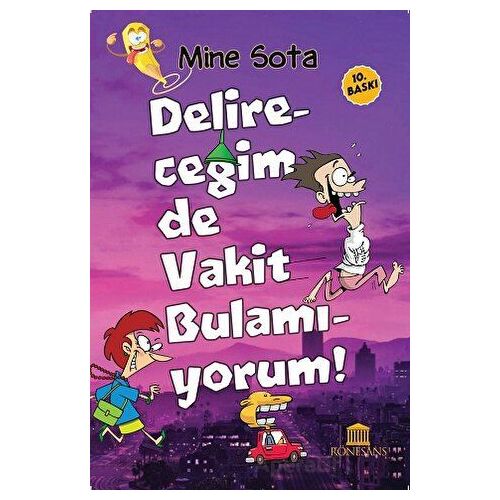 Delireceğim de Vakit Bulamıyorum - Mine Sota - Rönesans Yayınları