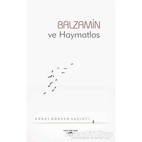 Balzamin ve Haymatlos - Koray Görkem Saçıntı - Sokak Kitapları Yayınları