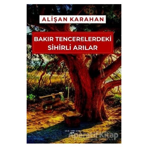 Bakır Tencerelerdeki Sihirli Arılar - Alişan Karahan - Sokak Kitapları Yayınları