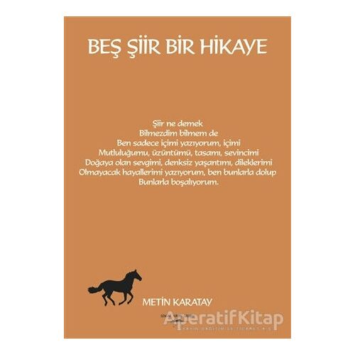 Beş Şiir Bir Hikaye - Metin Karatay - Sokak Kitapları Yayınları