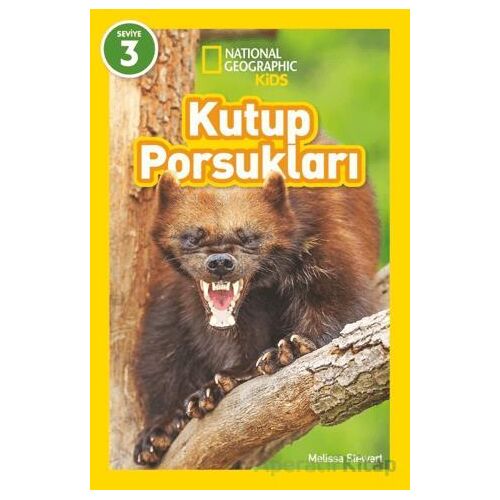 Kutup Porsukları - National Geographic Kids - Melissa Stewart - Beta Kids