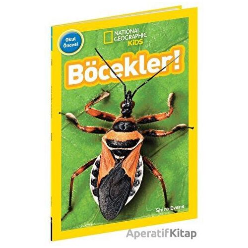 National Geographic Kids - Böcekler! - Shira Evans - Beta Kids