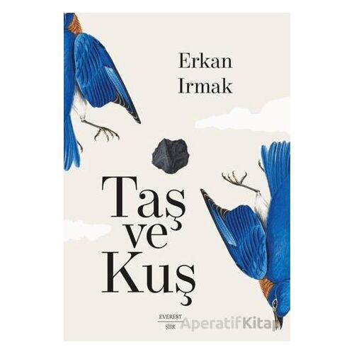 Taş ve Kuş - Erkan Irmak - Everest Yayınları