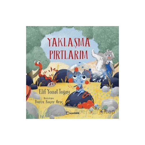 Yaklaşma Pırtlarım - Elif Yonat Toğay - Uçanbalık Yayıncılık