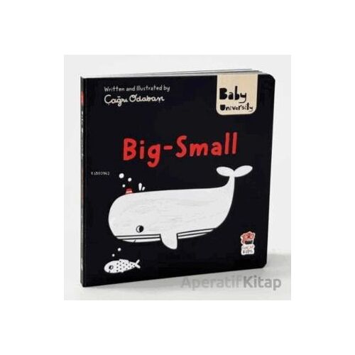 Big Small - Baby University First Concept Stories - Çağrı Odabaşı - Sincap Kitap