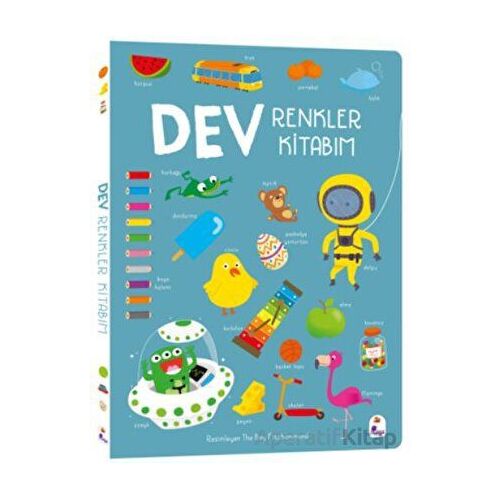 Dev Renkler Kitabım - The Boy Fitzhammond - İndigo Çocuk