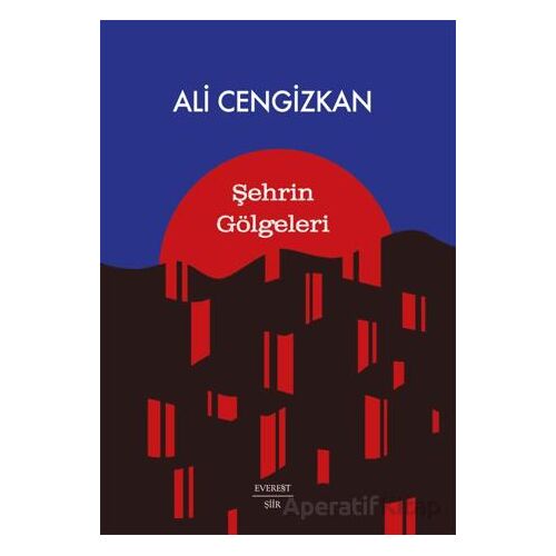 Şehrin Gölgeleri - Ali Cengizkan - Everest Yayınları
