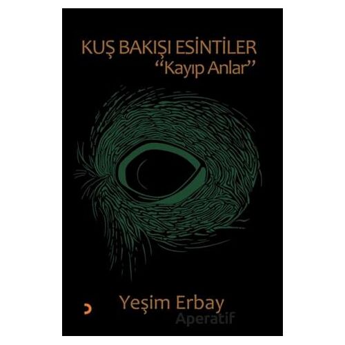 Kuş Bakışı Esintiler “Kayıp Anlar” - Yeşim Erbay - Cinius Yayınları