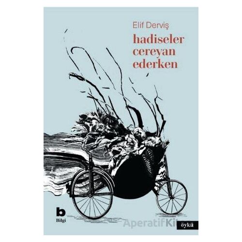 Hadiseler Cereyan Ederken - Elif Derviş - Bilgi Yayınevi