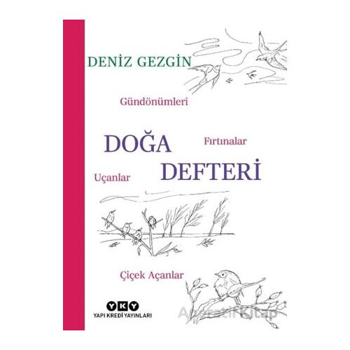 Doğa Defteri - Gündönümleri, Fırtınalar, Uçanlar, Çiçek Açanlar
