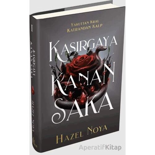 Kasırgaya Kanan Saka 1 - Hazel Noya - Ephesus Yayınları