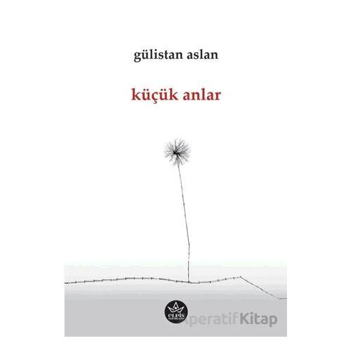 Küçük Anlar - Gülistan Aslan - Elpis Yayınları