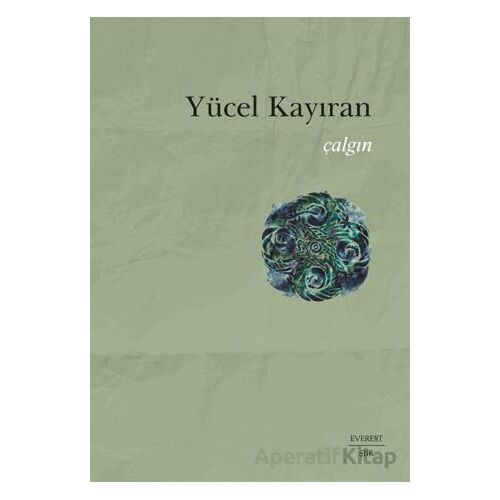 Çalgın - Yücel Kayıran - Everest Yayınları