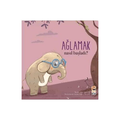 Nasıl Başladı? Ağlamak - Ayşe Aydemir - Sincap Kitap